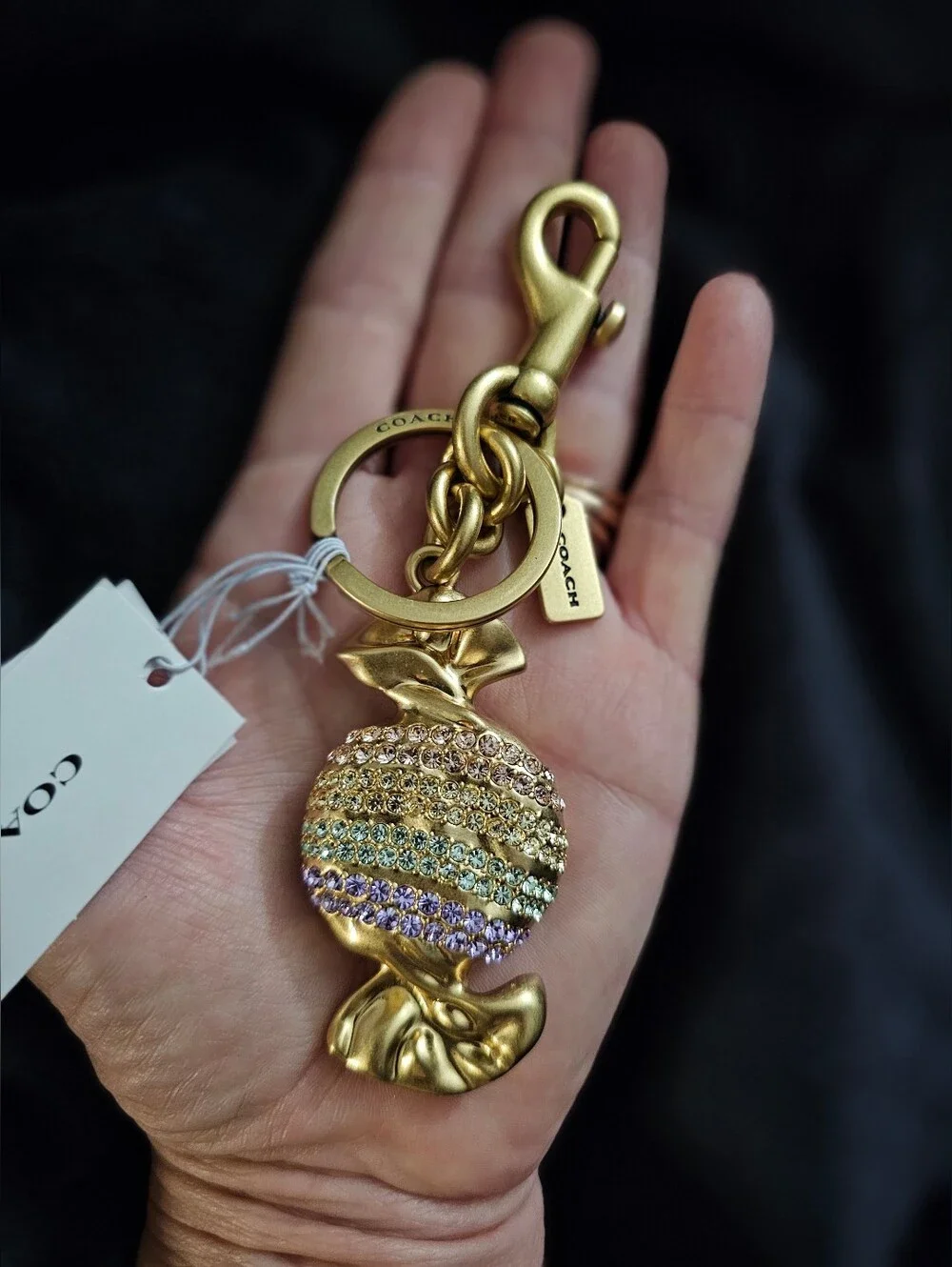 NWT Coach Candy Bag Charm Rainbow Crystal Keychain CDD09